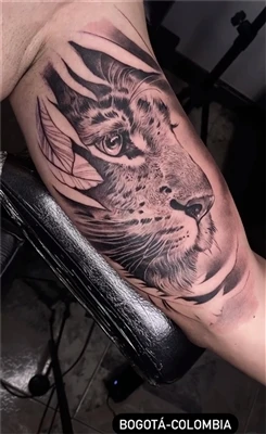 Hvad betyder Half Tiger Tattoo?